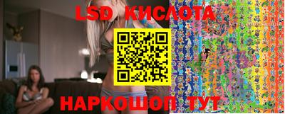ПСИЛОЦИБИНОВЫЕ ГРИБЫ Камышлов