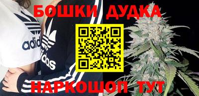 ПСИЛОЦИБИНОВЫЕ ГРИБЫ Камышлов