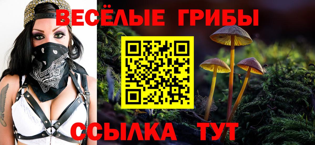 Галлюциногенные грибы мухоморы Лениногорск